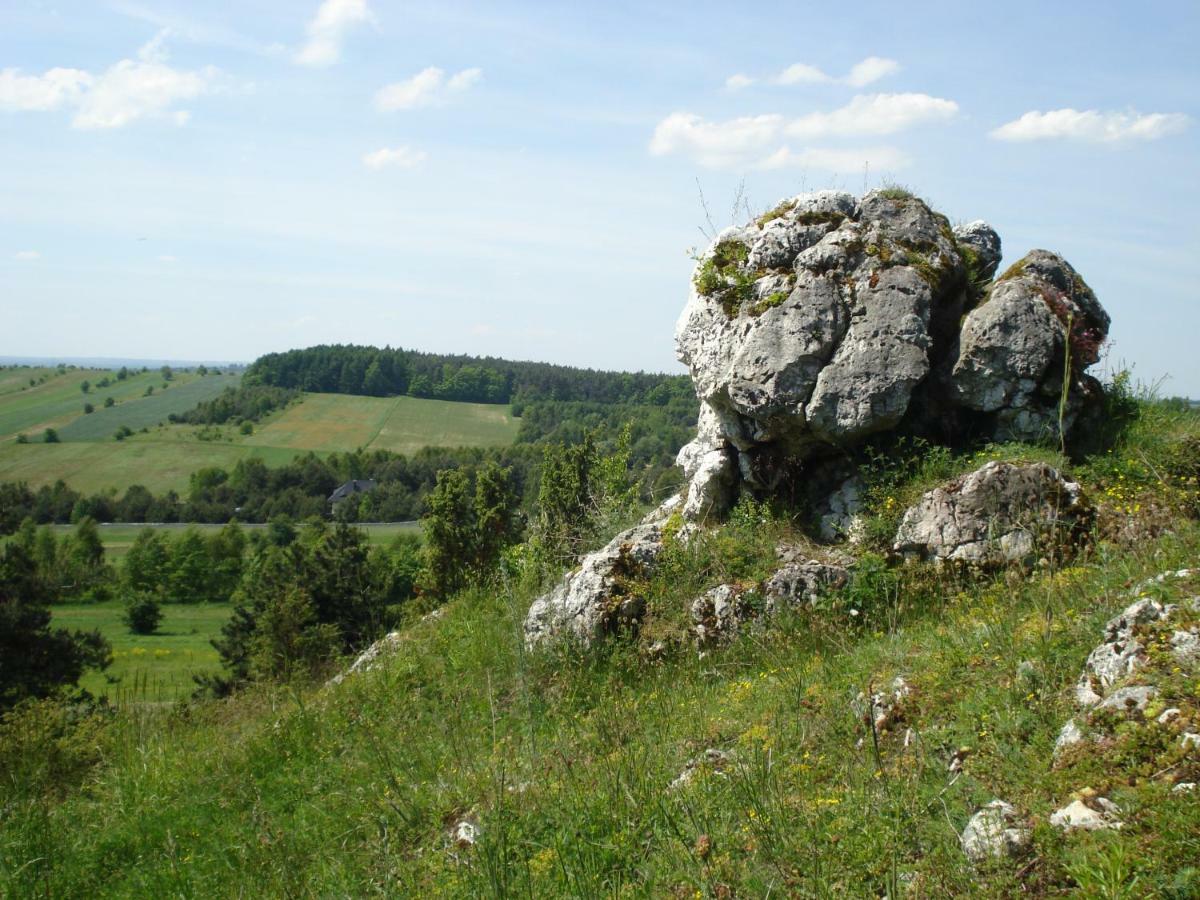 Villa Jura Pokoje Gościnne Zarki Zewnętrze zdjęcie