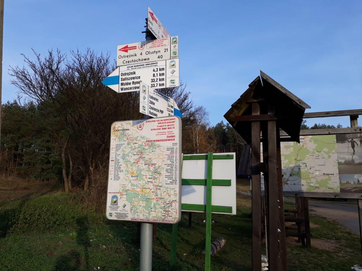 Villa Jura Pokoje Gościnne Zarki Zewnętrze zdjęcie