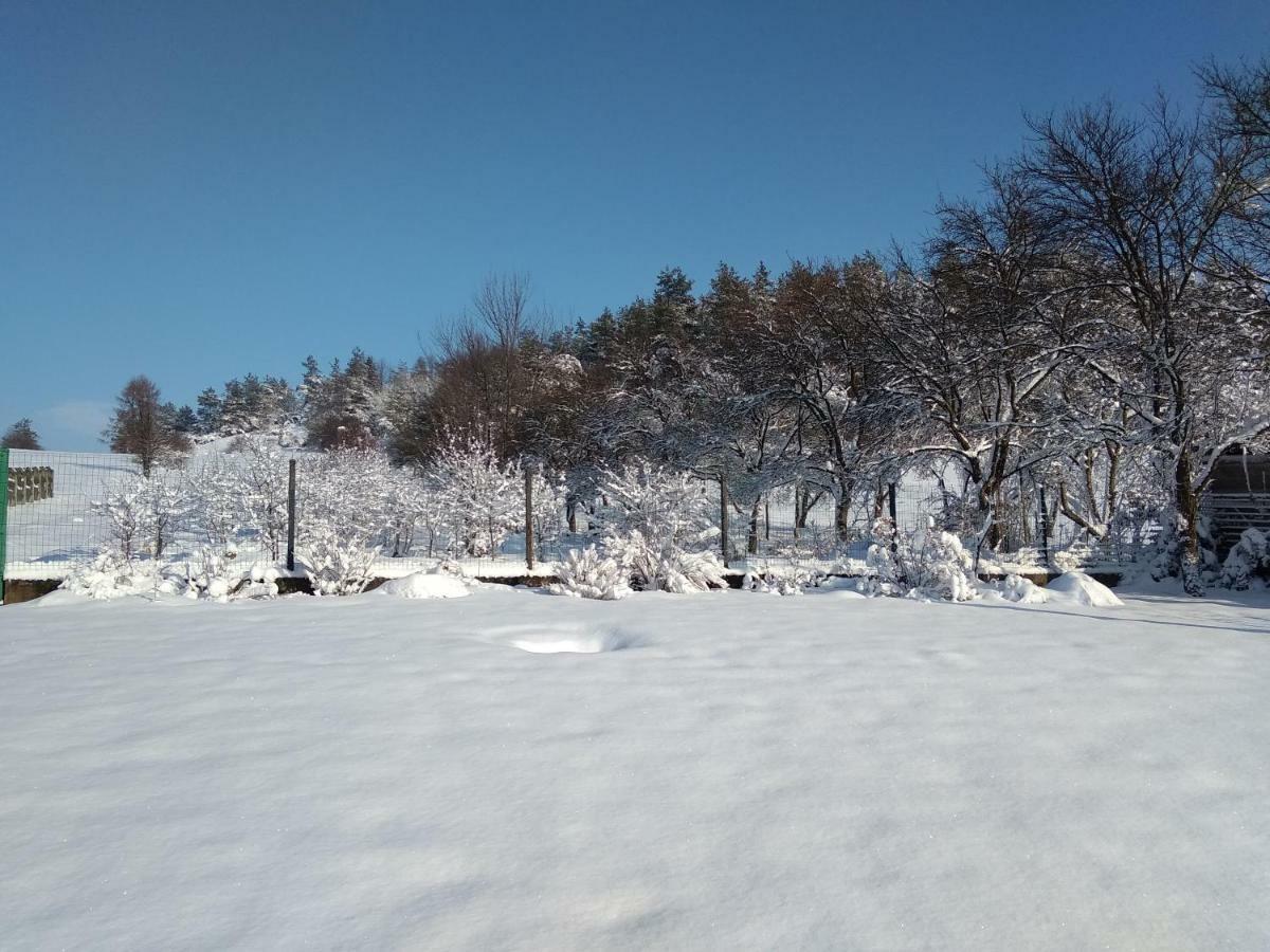 Villa Jura Pokoje Gościnne Zarki Zewnętrze zdjęcie