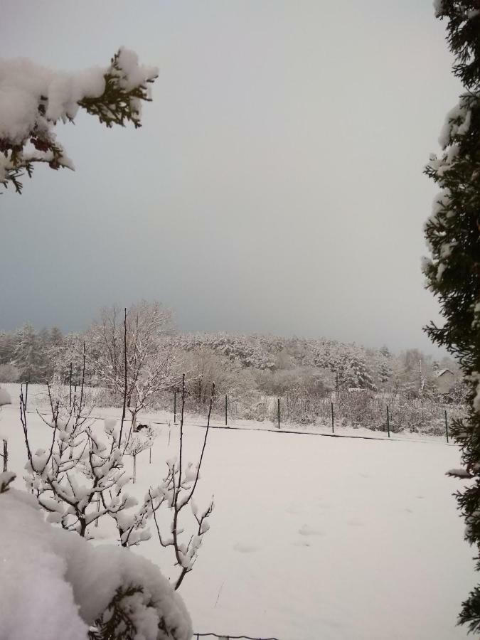 Villa Jura Pokoje Gościnne Zarki Zewnętrze zdjęcie